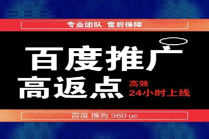 百度广告投放策略优化及成功案例解析
